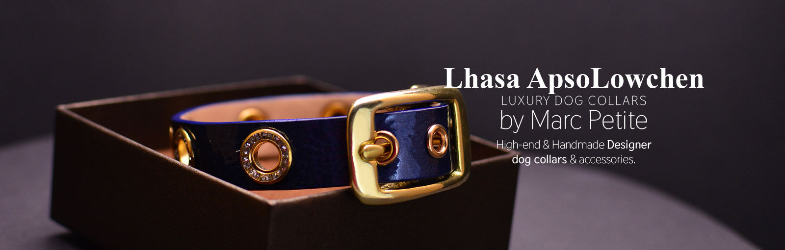Lhasa ApsoLowchen Collars - Marc Petite