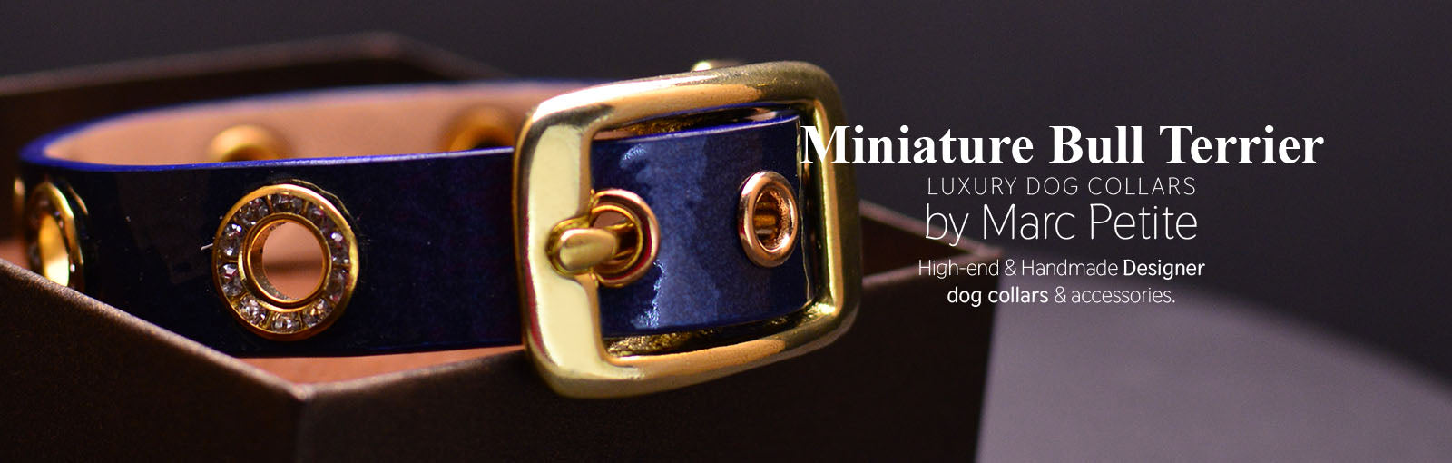 Miniature Bull Terrier Collars - Marc Petite