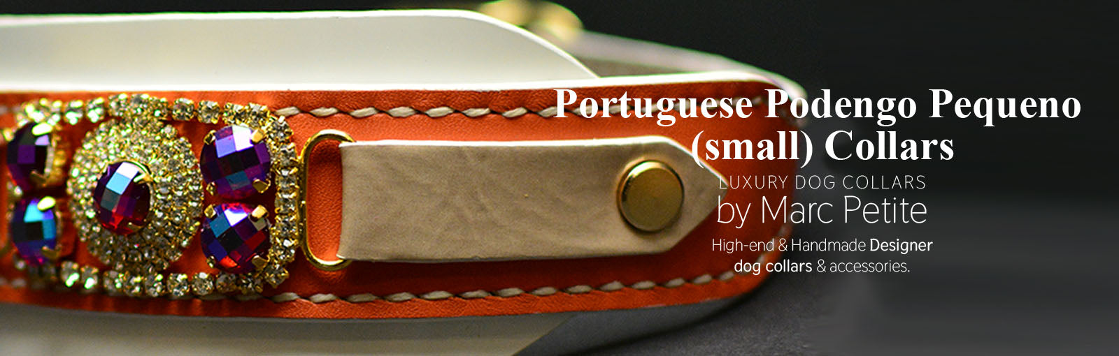 Portuguese Podengo Pequeno (small) Collars - Marc Petite