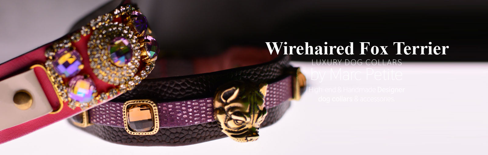 Wirehaired Fox Terrier Collars - Marc Petite