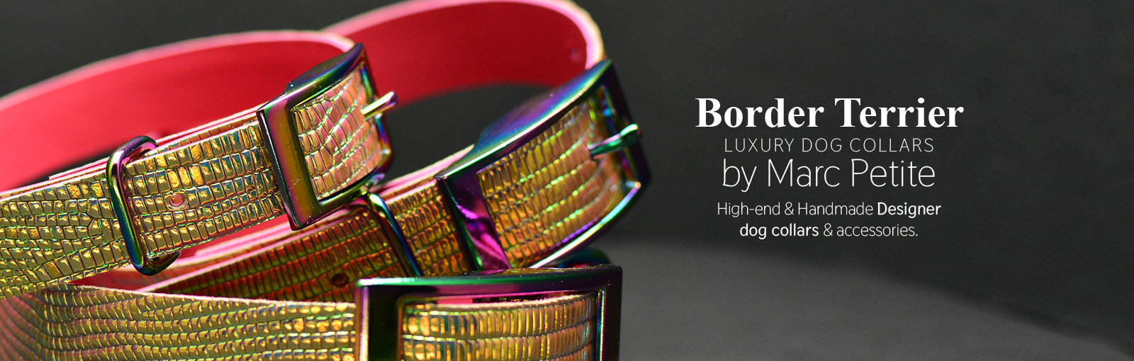 Border Terrier Collars - Marc Petite