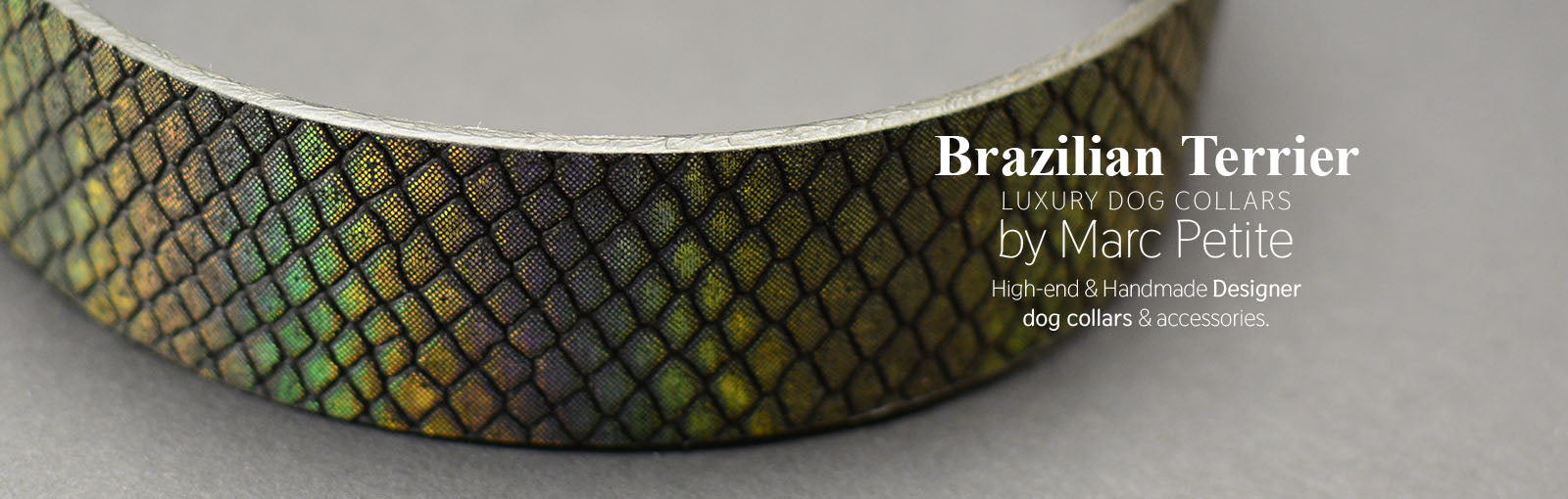Brazilian Terrier Collars - Marc Petite