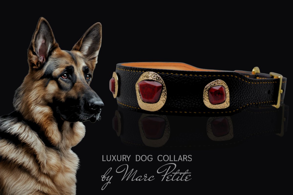 German Shepherd Collars & leashes
