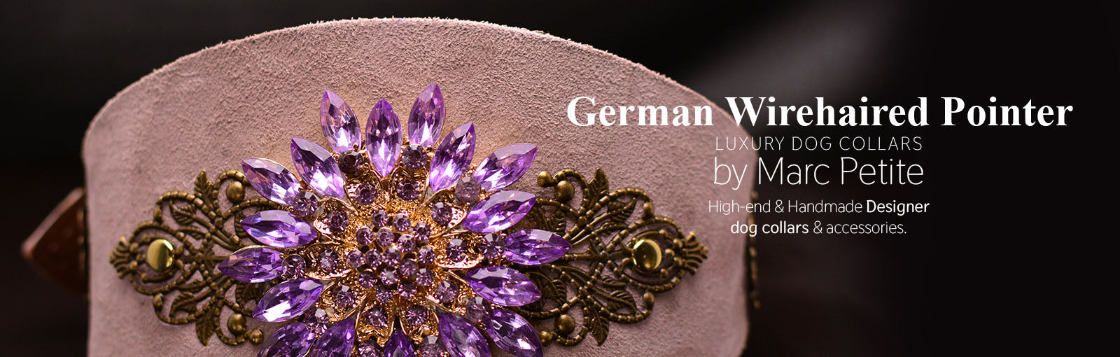 German Wirehaired Pointer Collars - Marc Petite