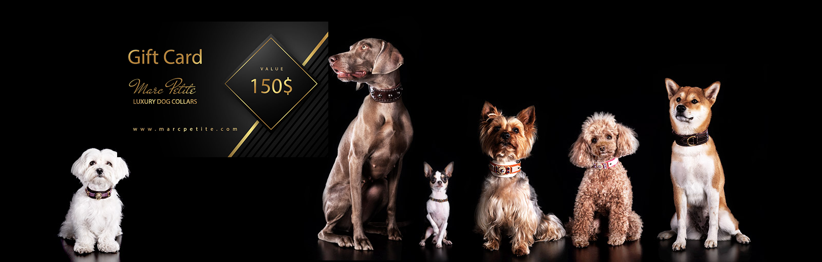 gift cards for luxury and designer dog collars and leashes 