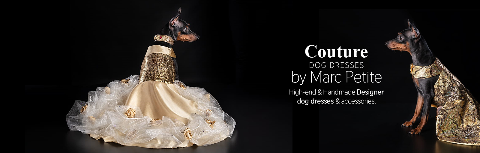 Gold Dog Dress