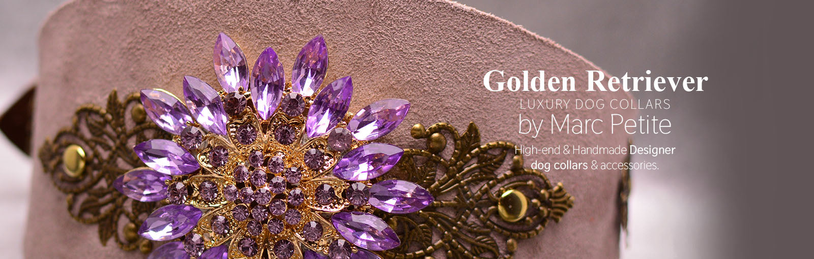 Golden Retriever Collars - Marc Petite