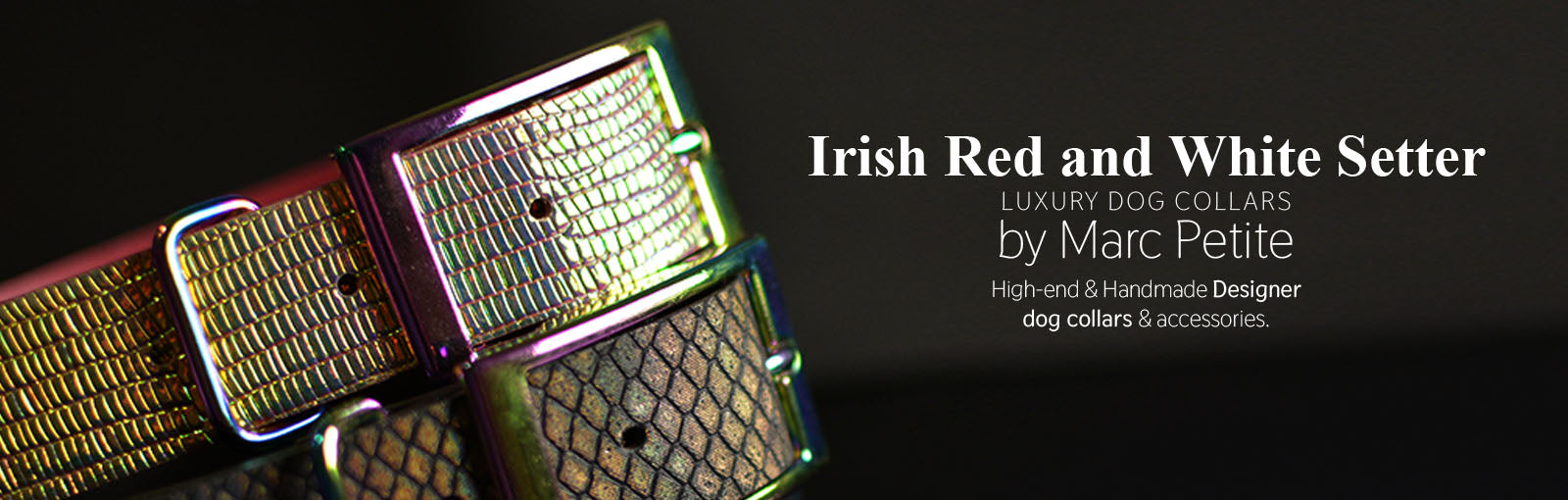 Irish Red and White Setter Collars - Marc Petite