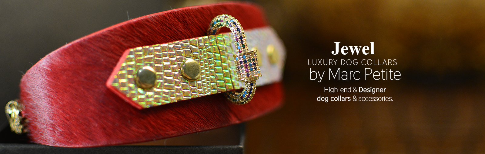 Jewelled Dog Collars