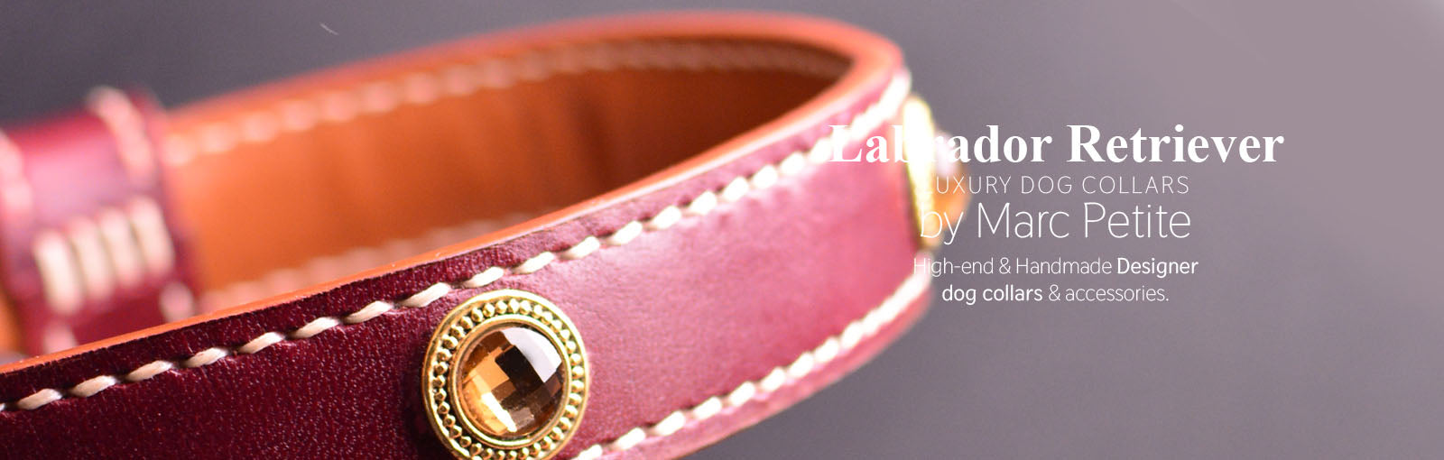 Labrador Retriever Collars - Shop Online – Marc Petite