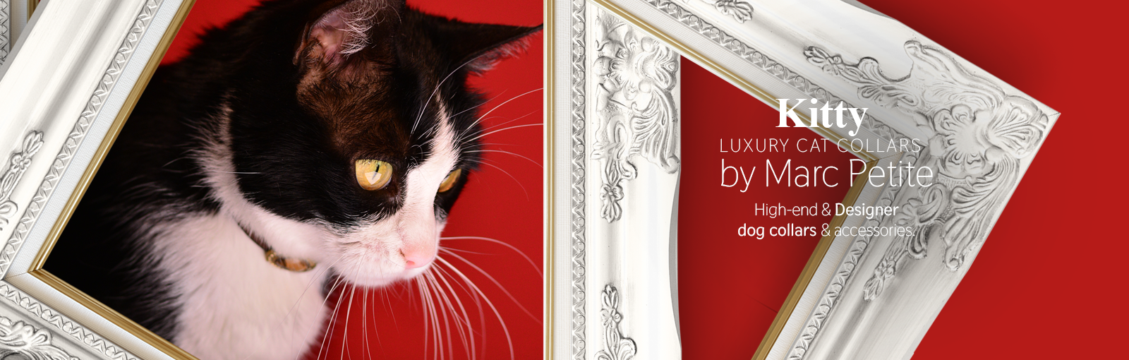 Luxury Cat Collars