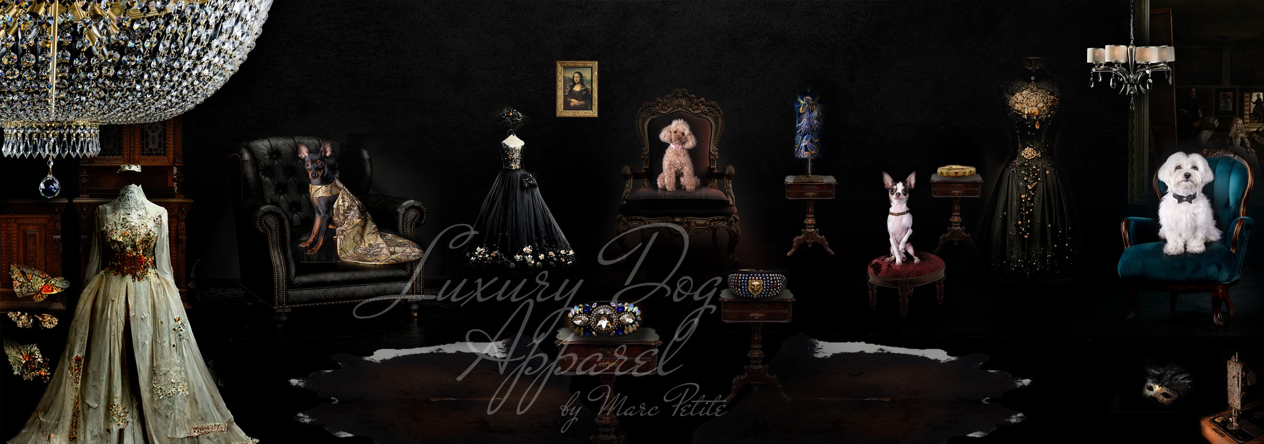 Luxury Dog Coats & Dresses