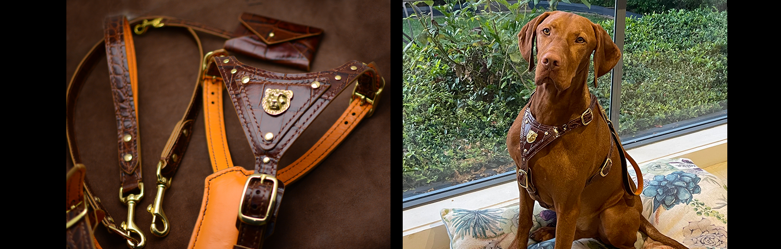 Luxury Dog Harness