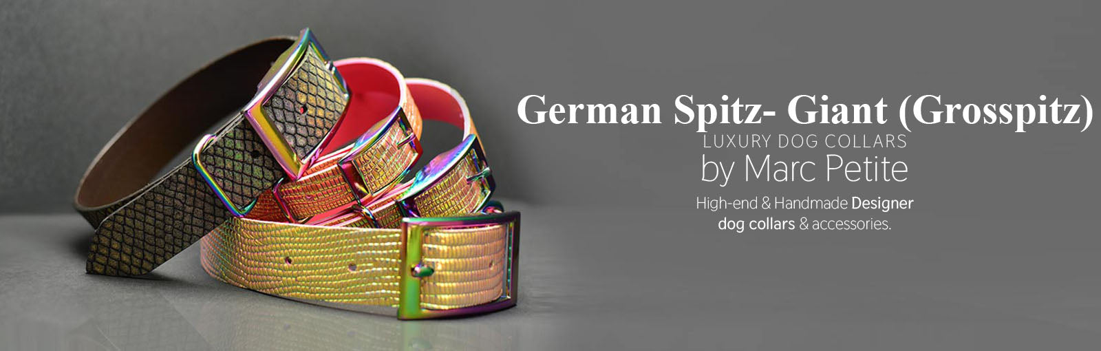 German Spitz- Giant (Grosspitz) Collars - Marc Petite