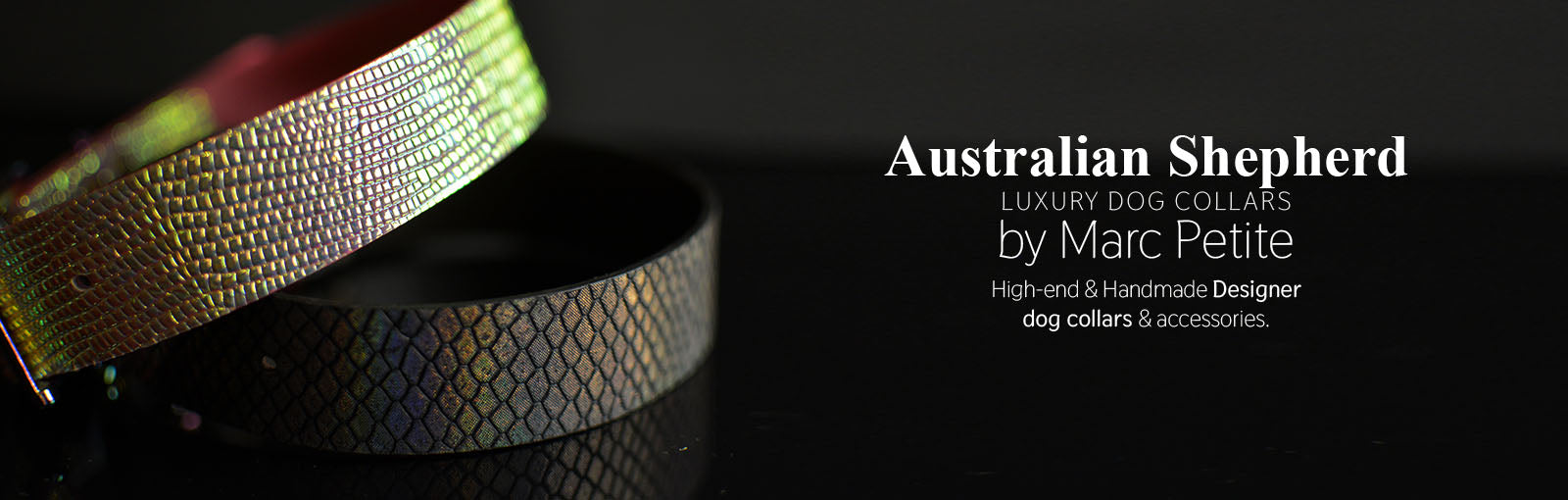 Australian Shepherd Collars - Marc Petite