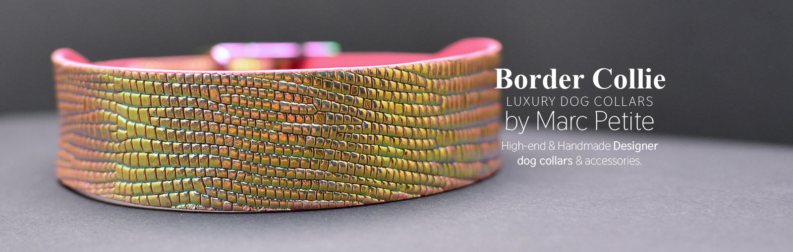 Border Collie Collars - Marc Petite