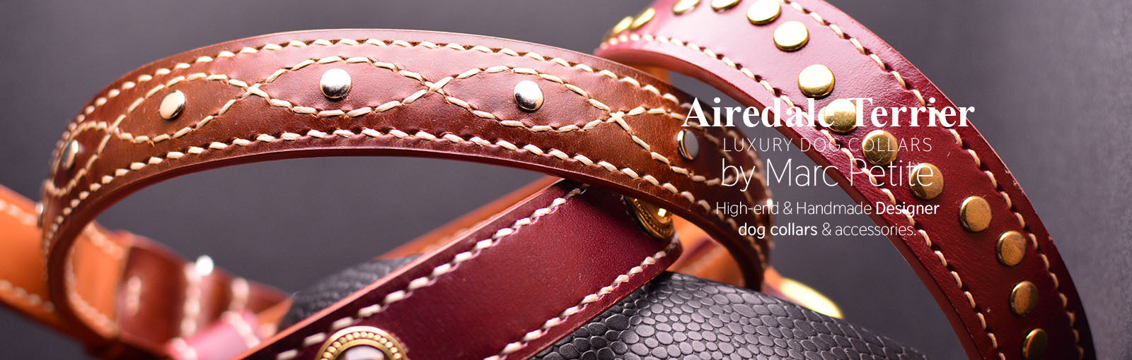 Airedale Terrier Collars - Marc Petite