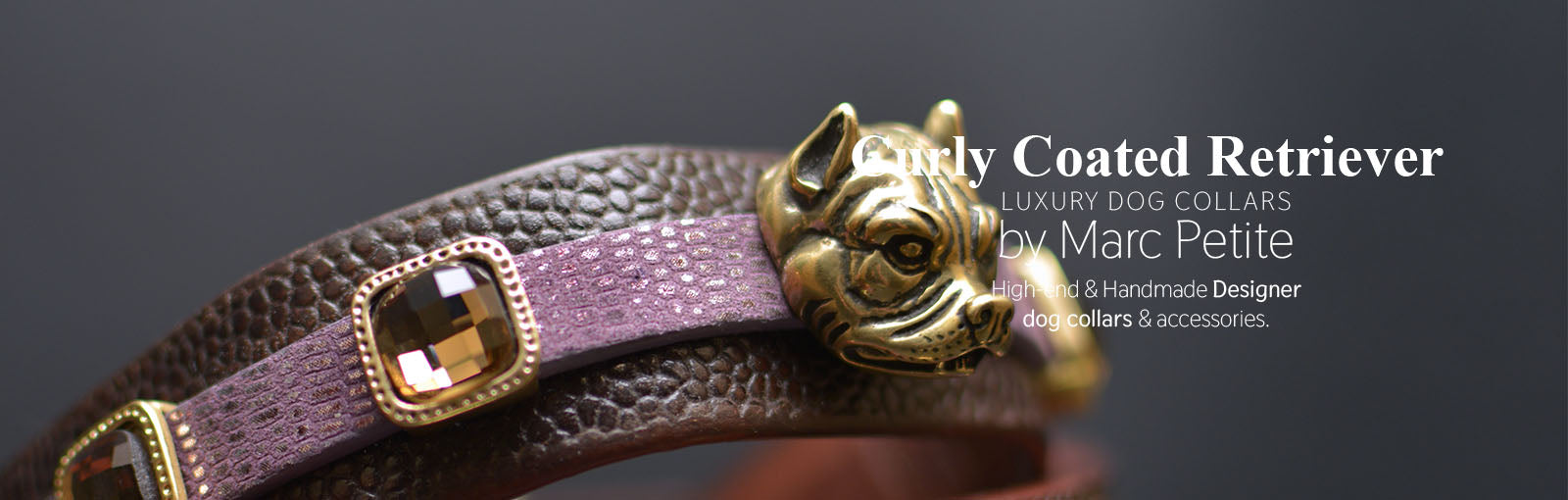 Curly Coated Retriever Collars - Marc Petite