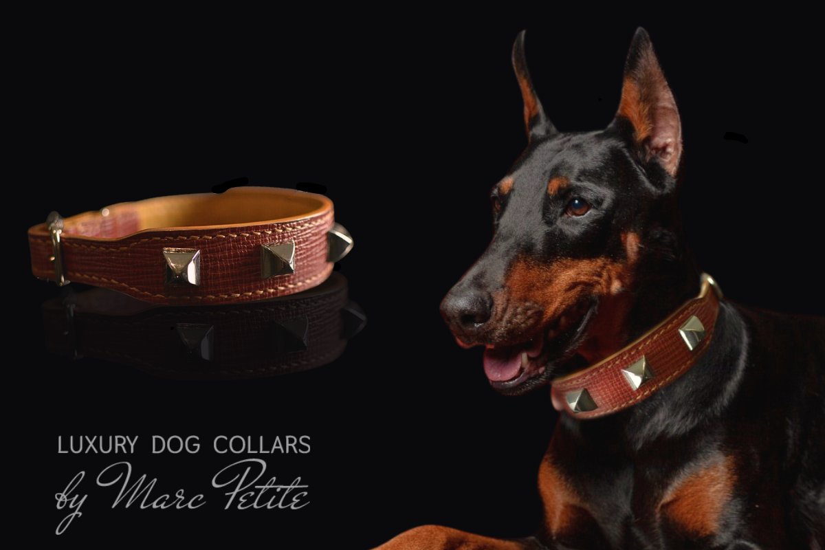 doberman pinscher luxury and designer collars