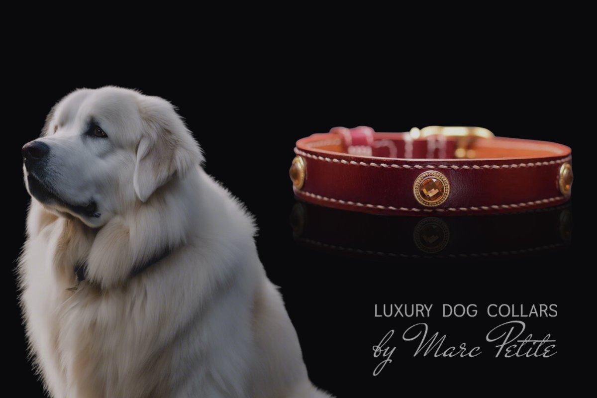 Great Pyrenees Collars & Leashes - Shop Online – Tagged