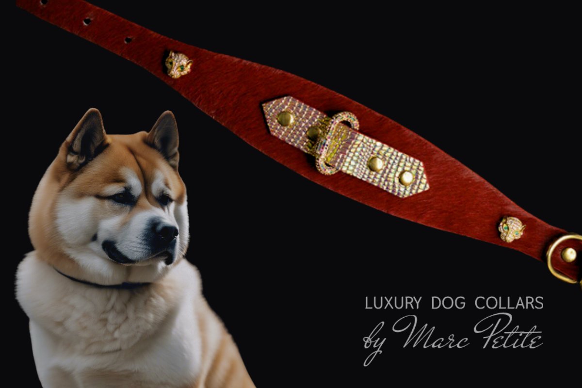 Luxury and Designer Collars for Japanese Akitas