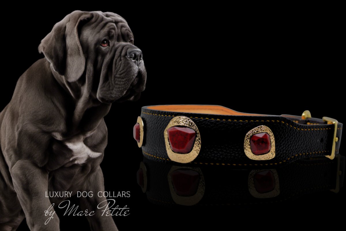 Neapolitan Mastiff Dog Collars and Leashes