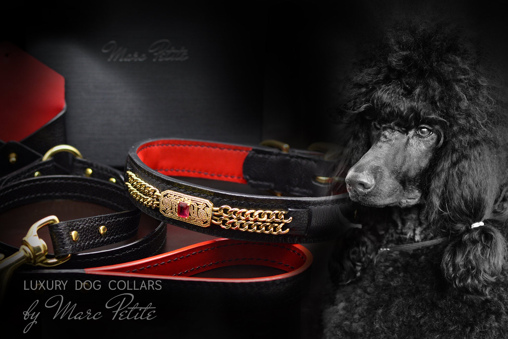 Collars for Standard Poodle 