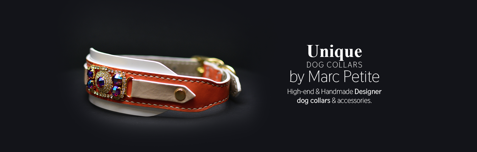 Unique Dog Collars & Leashes