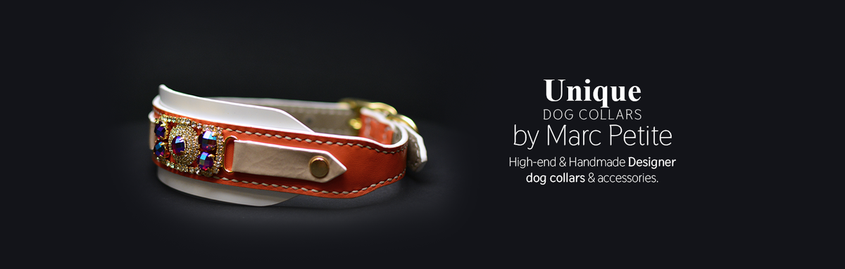 Unique 2024 dog accessories