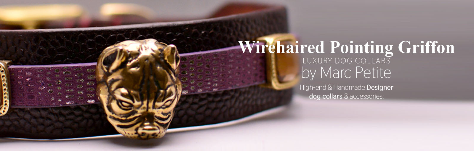 Wirehaired Pointing Griffon Collars - Marc Petite