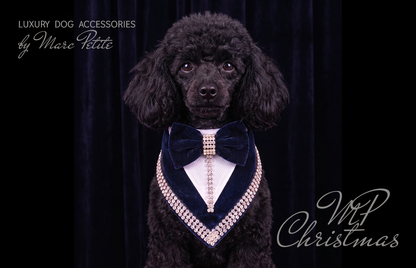 MP Suites Blue Dog Bandana