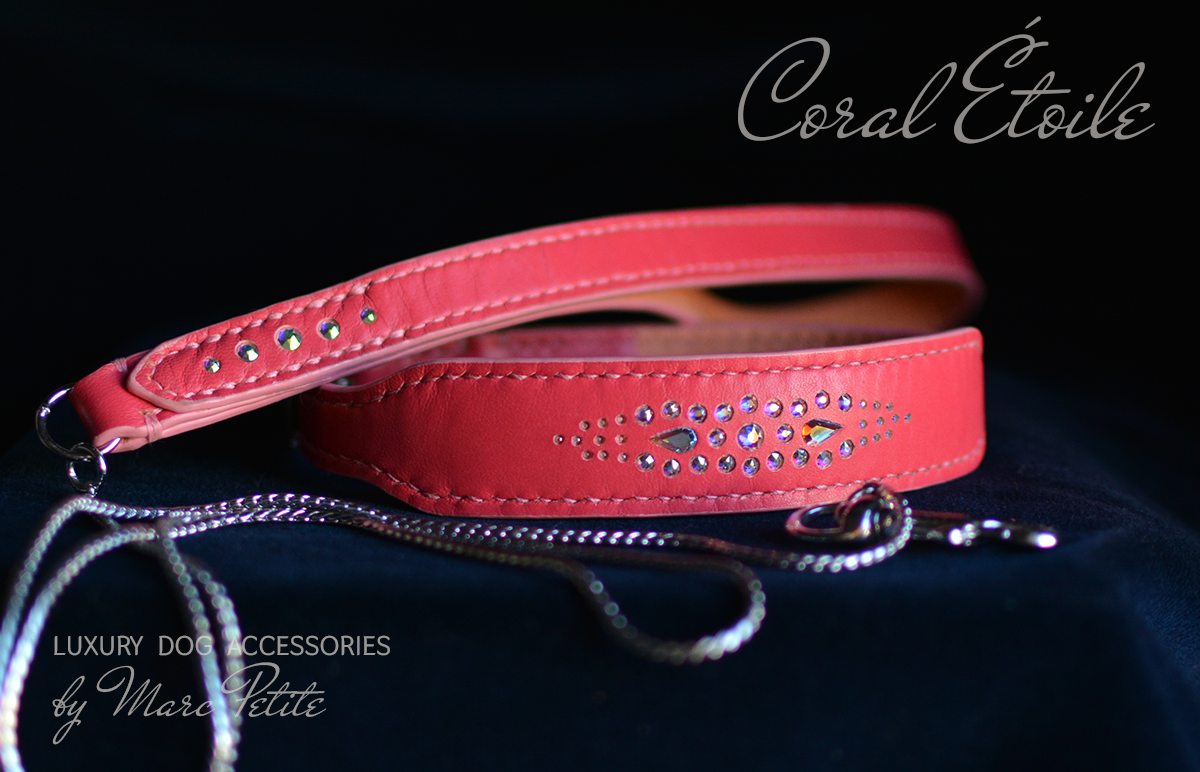Coral Étoile Dog Collar & Leash