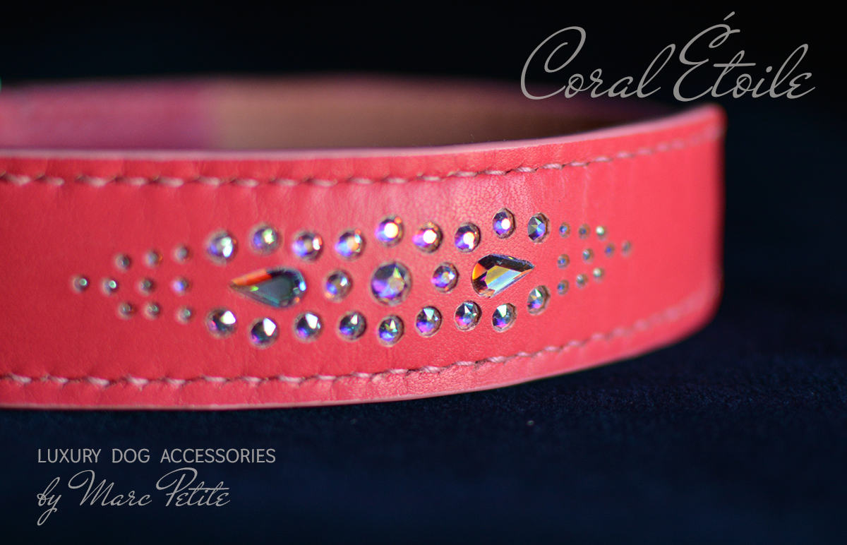 Coral Étoile Dog Collar & Leash