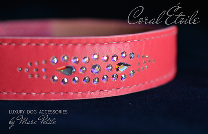 Coral Étoile Dog Collar & Leash