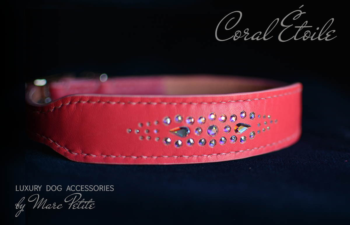 Coral Étoile Dog Collar & Leash