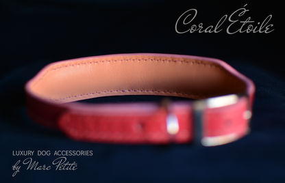 Coral Étoile Dog Collar & Leash
