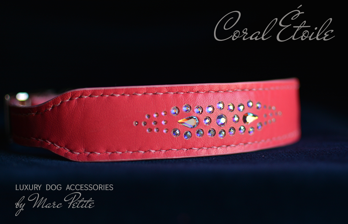 Coral Étoile Dog Collar & Leash