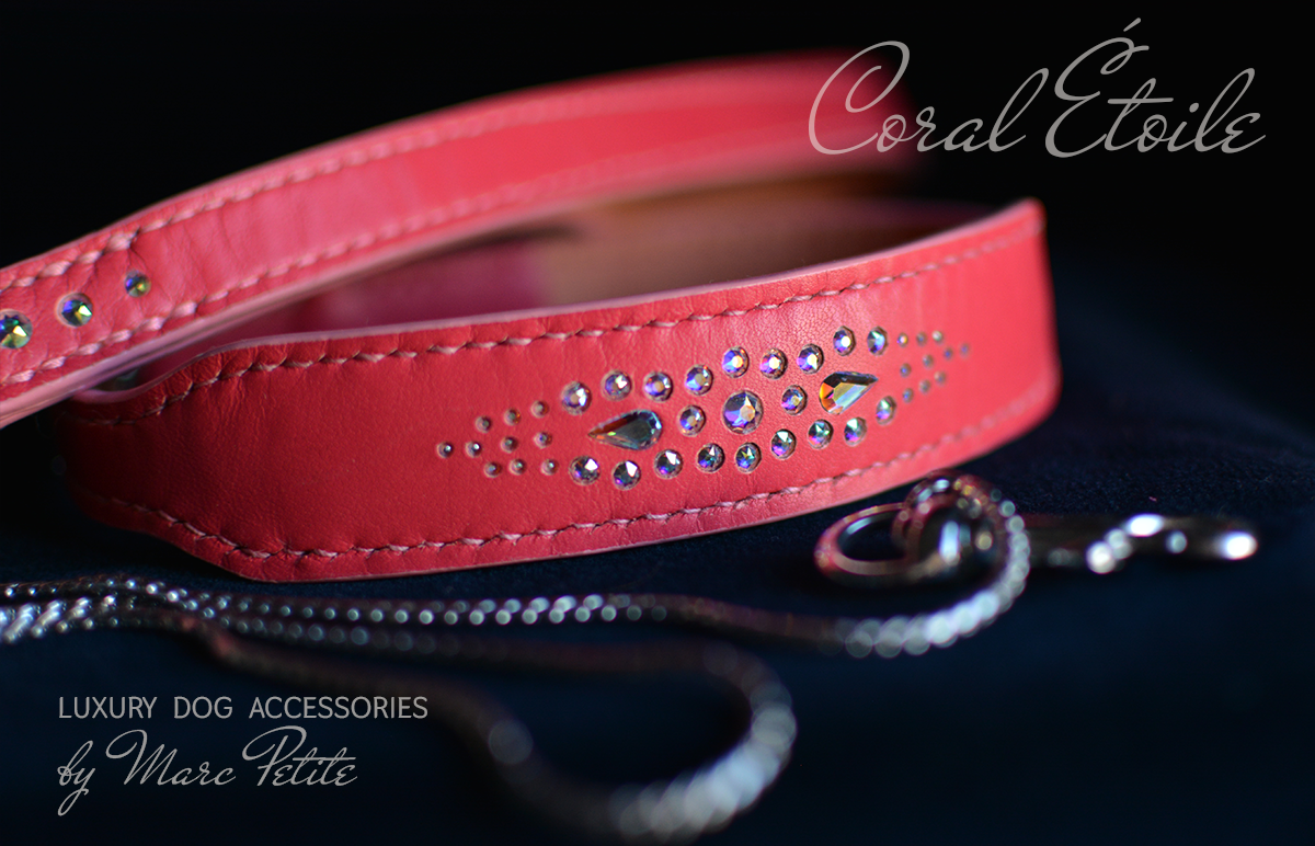 Coral Étoile Dog Collar & Leash