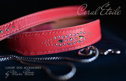 Coral Étoile Dog Collar & Leash