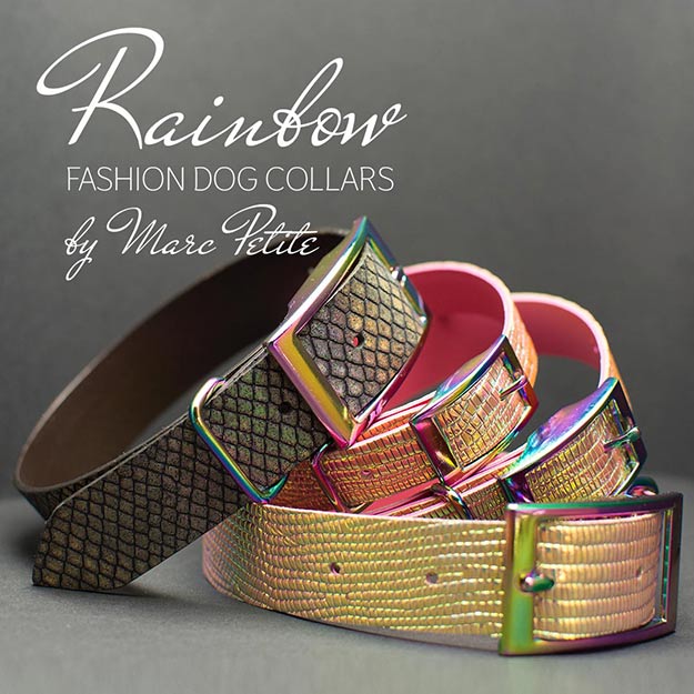 Designer Dog Collars by Marc Petite