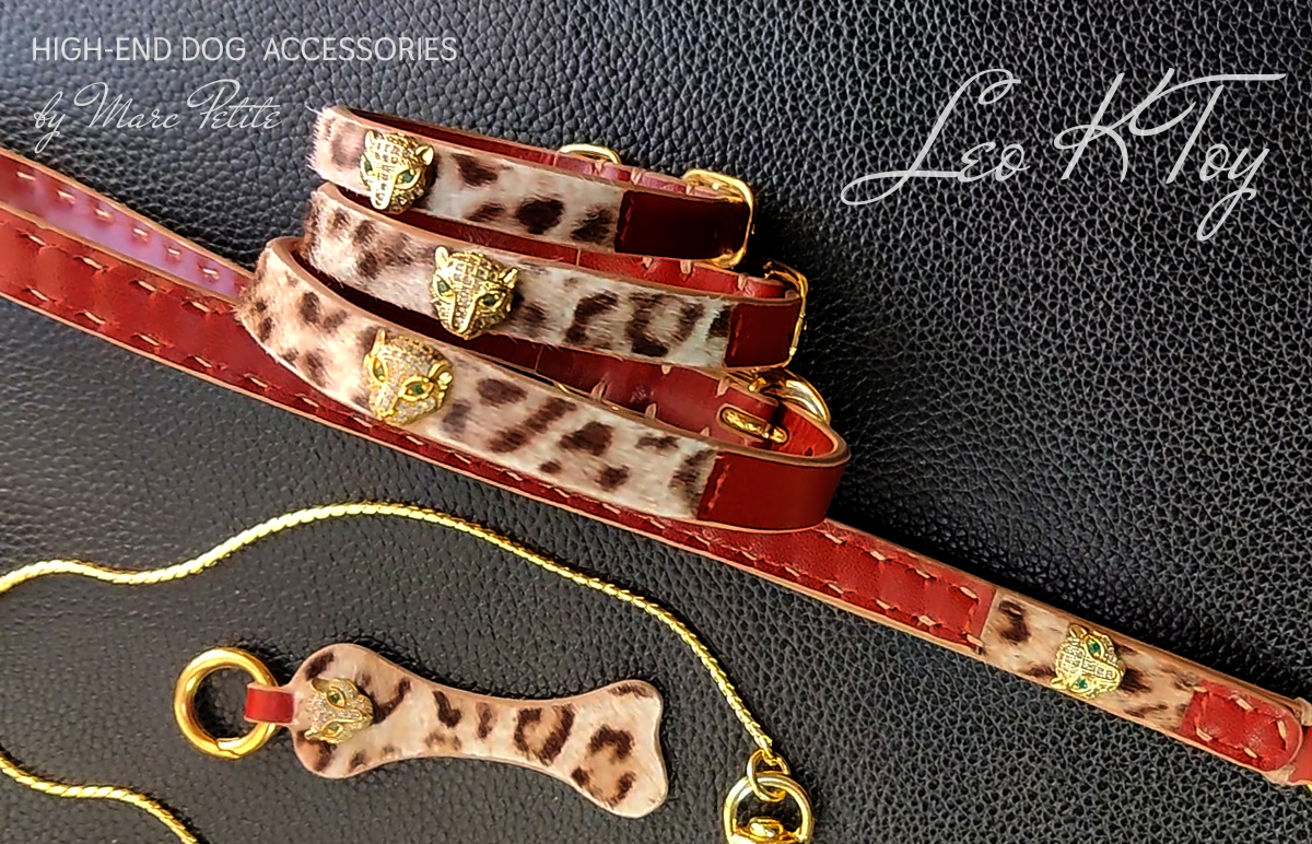 Leo K Toy Collar & Leash