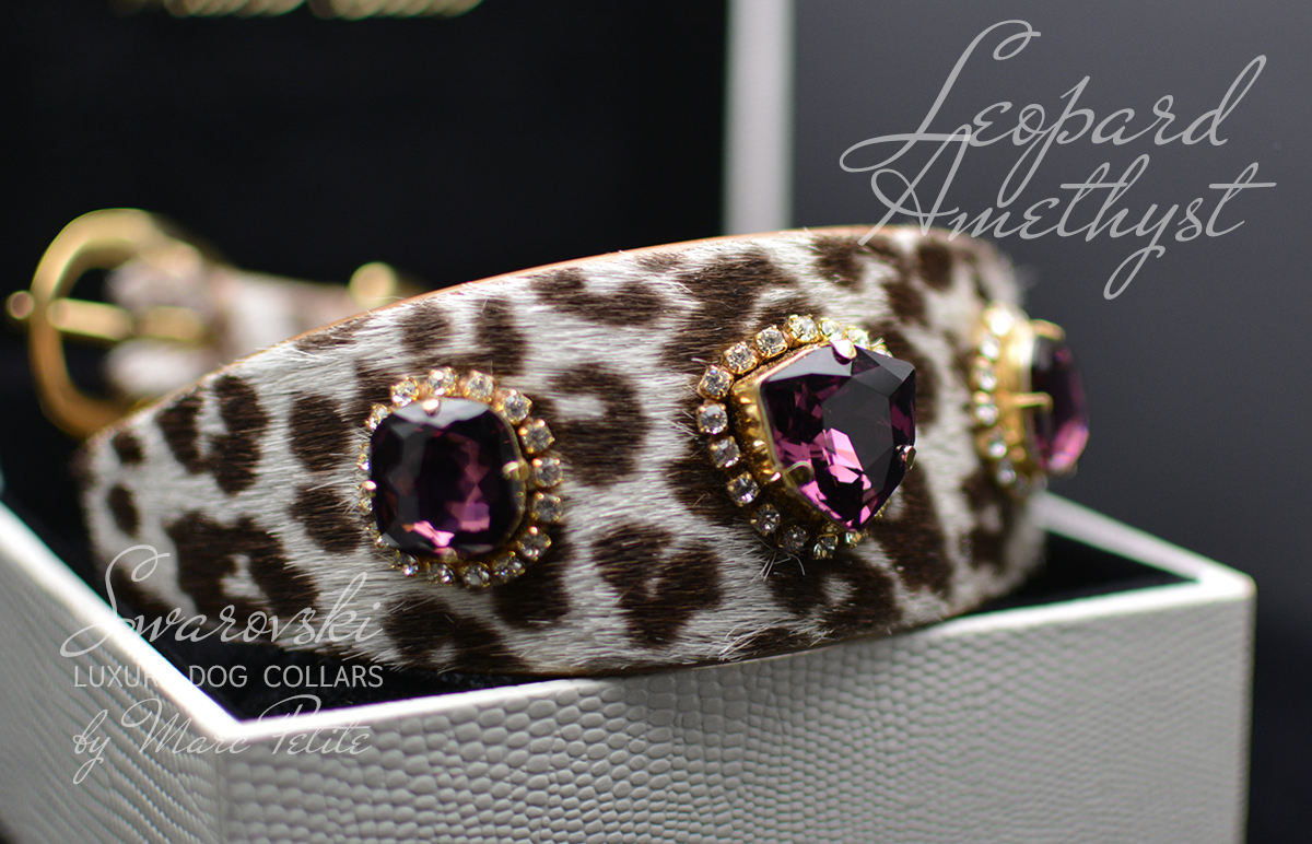 Leopard Collar for Dogs