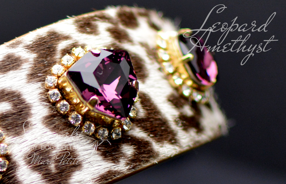 Swarovski dog collar