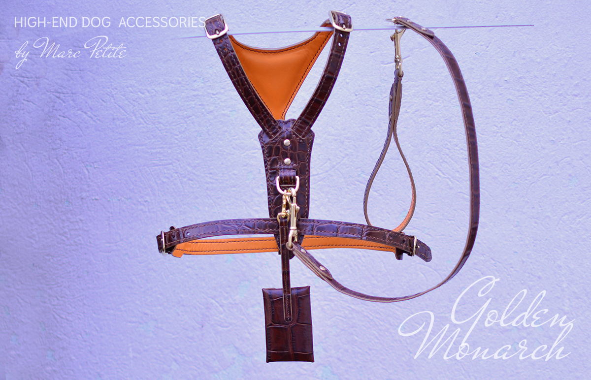 Golden Monarch Dog Harness & Leash