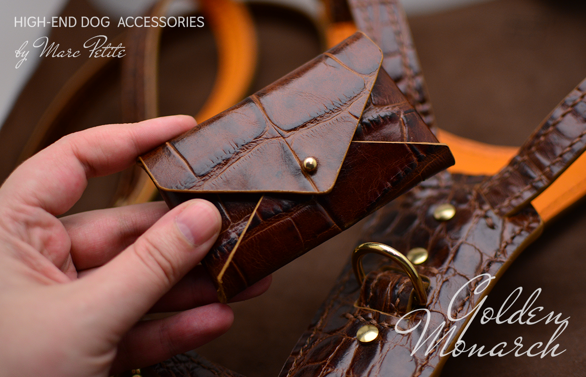 Golden Monarch Dog Harness & Leash