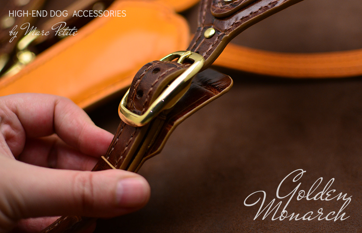 Luxury Dog Harness & Leash
