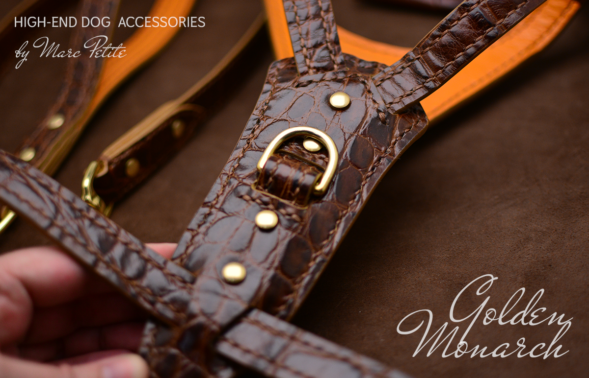 Luxury Dog Harness & Leash