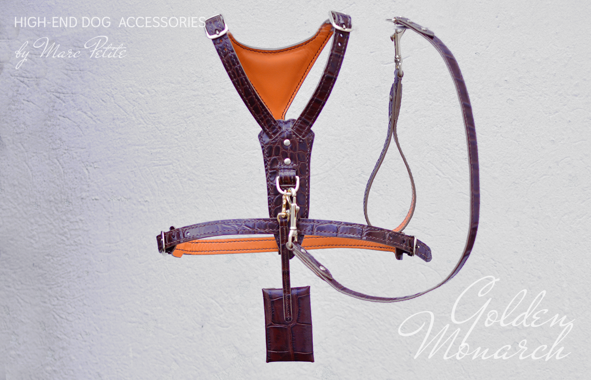 Luxury Dog Harness & Leash