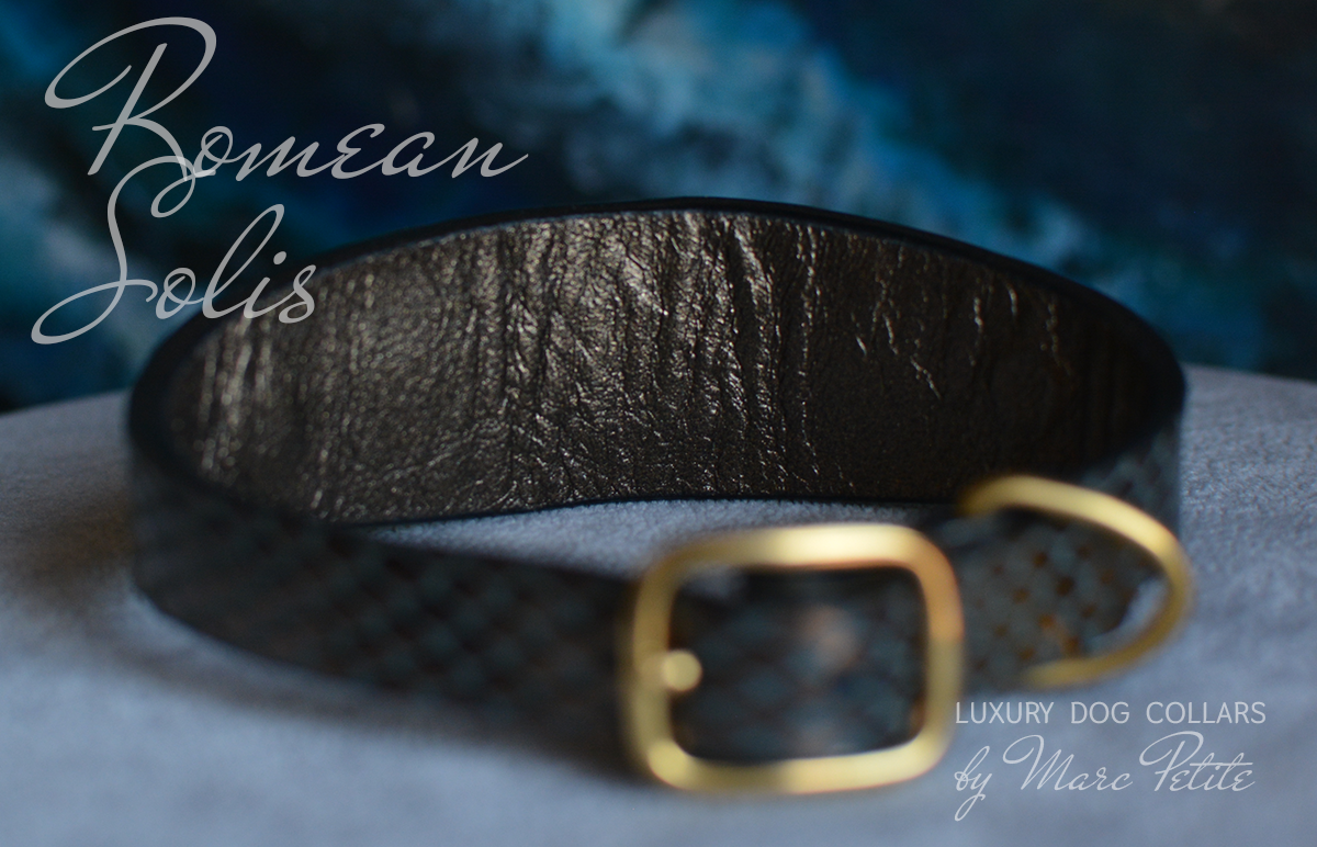 Royal Dog Collar