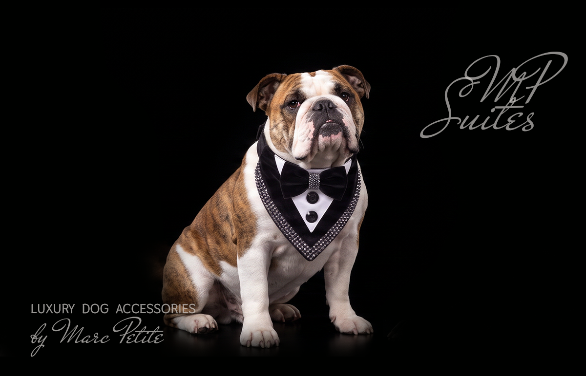 Wedding Dog Bandana Suite